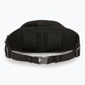 Cyklistická ľadvinka Osprey Savu 2 l b.black 2