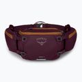 Osprey Savu 5 aprium fialové puzdro na bicykel