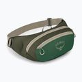 Ľadvinka Osprey Daylite Waist green canopy/green creek 2