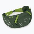 Ľadvinka Osprey Duro Dyna 2 l seaweed green/limon 2