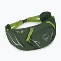 Ľadvinka Osprey Duro Dyna 2 l seaweed green/limon 2