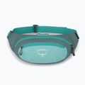 Ľadvinka Osprey Daylite jetstream blue/cascade blue