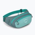 Ľadvinka Osprey Daylite jetstream blue/cascade blue 2