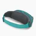 Ľadvinka Osprey Daylite jetstream blue/cascade blue 3