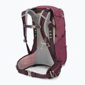 Dámsky turistický batoh Osprey Sirrus 24 l elderberry purple/chiru tan 2
