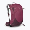 Dámsky turistický batoh Osprey Sirrus 24 l elderberry purple/chiru tan 3