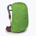 Dámsky turistický batoh Osprey Sirrus 24 l elderberry purple/chiru tan 4