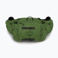 Taštička ľadvinka męska Osprey Talon 6 l green belt/black