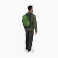 Turistický batoh Osprey Daylite Plus 20 l green belet/green canopy 11