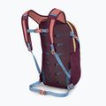 Mestský batoh Osprey Daylite 13 l moody burgundy 4