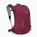 Turistický batoh Osprey Hikelite 26 l chameleón/black 2