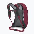 Turistický batoh Osprey Hikelite 26 l chameleón/black 4