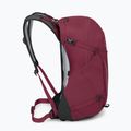 Turistický batoh Osprey Hikelite 26 l chameleón/black 5