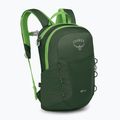 Detský turistický batoh Osprey Jet 12 l green canopy/limeline green 2