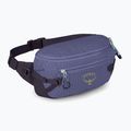 Ľadvinka Osprey Transporter Waist Pack 3 l euphoria 2