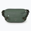 Ľadvinka Osprey Transporter Waist Pack 3 l pine leaf