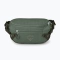 Ľadvinka Osprey Transporter Waist Pack 3 l pine leaf