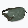 Ľadvinka Osprey Transporter Waist Pack 3 l pine leaf 3