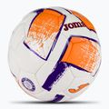 Futbalová lopta  Joma Dali II biela/fluor oranžová/fialová veľkosť 3 2