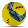 Futbalová lopta Joma Evolution III žltá/čierna/modrá veľkosť 5 2