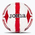 Joma Light futbal veľkosť 5