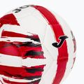Joma Light futbal veľkosť 5 3