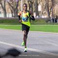 Pánske bežecké tričko Joma Elite XI fluor yellow/black 5