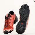 Salomon Speedcross 6 dámska bežecká obuv cow hide/black/english rose 14