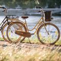 Kellys Royal Dutch 460 mestský bicykel modrý 72363 3
