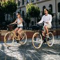 Kellys Royal Dutch 460 mestský bicykel modrý 72363 5