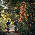 Dámsky trekingový bicykel Kellys Cristy 40 fialový 72344 8