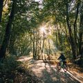 Dámsky trekingový bicykel Kellys Cristy 40 fialový 72344 9