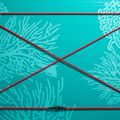 SUP ABSTRACT Coral 10'6'' topaz doska 3