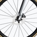 Basso Diamante Disc cestný bicykel strieborný DID3122 6