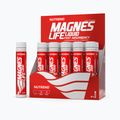 Magneslife Nutrend 10X25 ml magnézium VT-023-250-XX 2