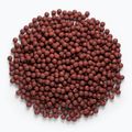 Proteínové guľky MIVARDI Rapid Boilies Starter Hot Spice 3,5 kg 4