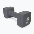 Neoprénová činka 6 kg Pure2Improve sivá P2I201440