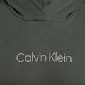 Pánska mikina Calvin Klein Hoodie LLZ urban classic 7