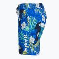 Pánske plavecké šortky Hurley Cuba Volley Swim Short Blue 3