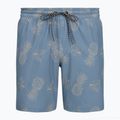 Pánske plavecké šortky Hurley Pineapple Volley Swim Short Blue/Brown