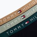 Pánske boxerky Tommy Hilfiger Trunk WB 3 pack nb//saf canvas/mnty grey/deep spru 6