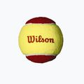 Wilson Starter Red Tballs detské tenisové loptičky 12 ks žlto-červené WRT137100 3