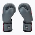 Boxerské rukavice Twins Special BGVL3 grey 4