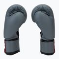 Boxerské rukavice Twins Special BGVS3 grey 4