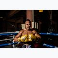 Boxerské rukavice Fairtex Universal "Tight-Fit" Design Falcon gold 2