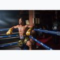 Boxerské rukavice Fairtex Universal "Tight-Fit" Design Falcon gold 3