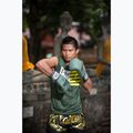 Boxerské rukavice Fairtex F-DAY Limited Edition pickle 5