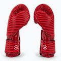 Boxerské rukavice Fairtex Microfiber Art Collections Minimalizmus Art red 4