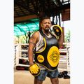Fairtex Speed & Accuracy Focus Mitts čierne/zlaté tréningové labky 6