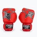 Boxerské rukavice YOKKAO Institution Boxing red 2